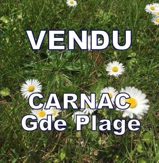 Ile du Ponant, avenue d'Arvor, Avenue Duguesclin, Rare, terrain constructible proche plage à CARNAC 817 m² Ile du Ponant, avenue d'Arvor, Avenue Duguesclin, Rare, terrain constructible proche plage à CARNAC 817 m²