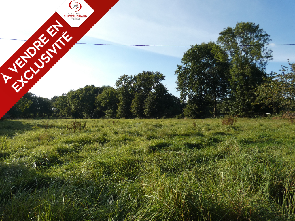 EXCLUSIVITÉ terrain constructibles de 1200 m². EXCLUSIVITÉ terrain constructibles de 1200 m².