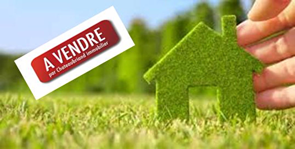Terrain constructible à vendre Saint Broladre 2732 m2 Terrain constructible à vendre Saint Broladre 2732 m2