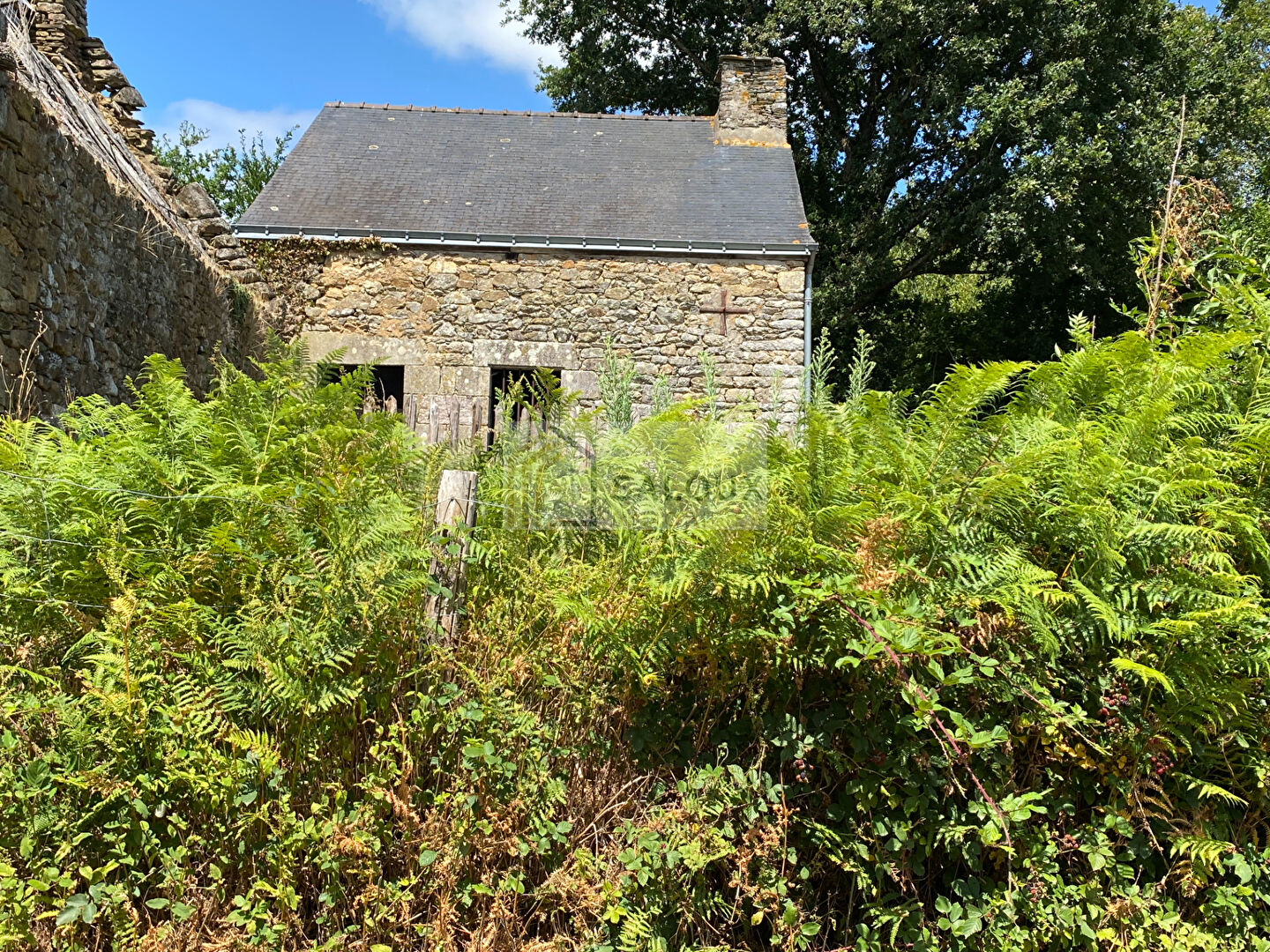Maison à rénover de 60 m² + Ruine de 90m² au sol à restaurer Maison à rénover de 60 m² + Ruine de 90m² au sol à restaurer
