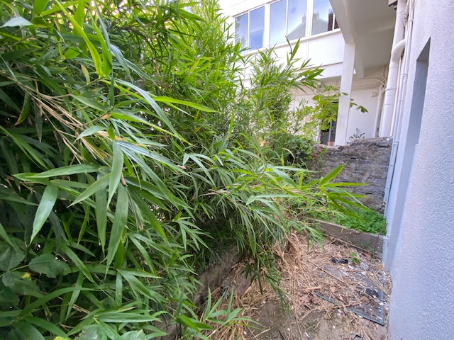 T4 duplex quartier saint Mihel T4 duplex quartier saint Mihel