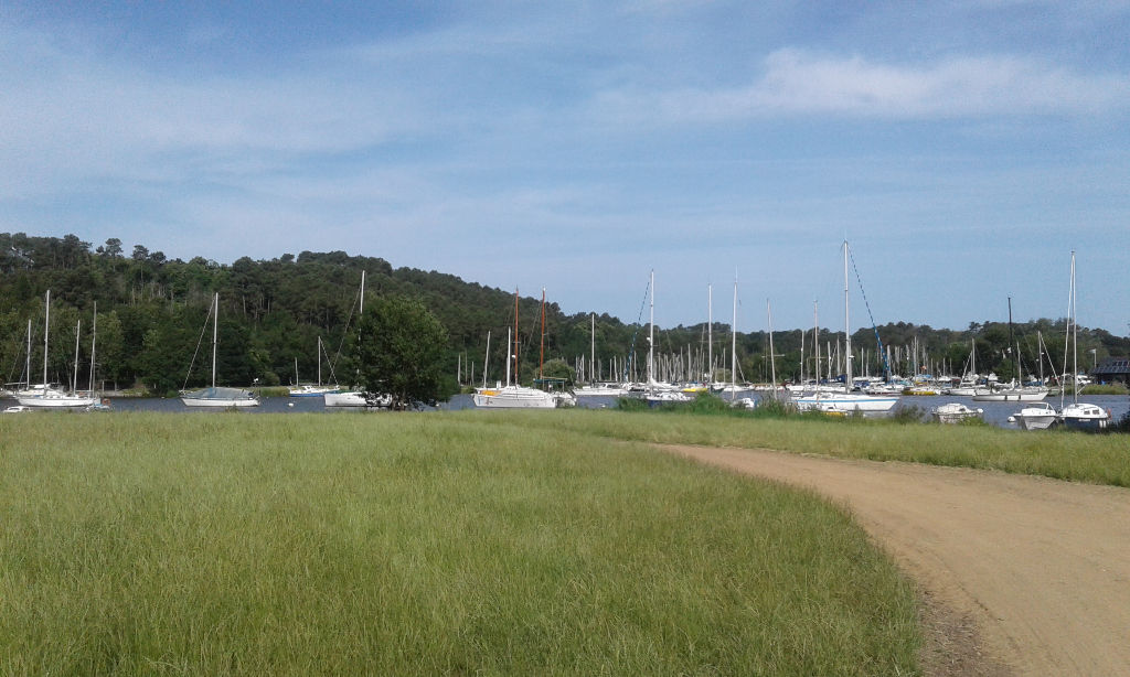 NIVILLAC, TERRAIN DE 1722 M² VIABILISE, BRETAGNE SUD, 7 MIN AXE NANTES-VANNES NIVILLAC, TERRAIN DE 1722 M² VIABILISE, BRETAGNE SUD, 7 MIN AXE NANTES-VANNES