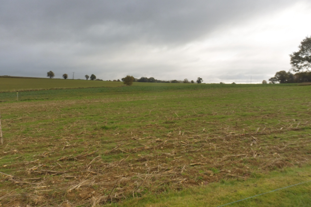 Ille et Vilaine Guipry Messac 35480 Terrain constructible Guipry Messac 1500 m2 Ille et Vilaine Guipry Messac 35480 Terrain constructible Guipry Messac 1500 m2