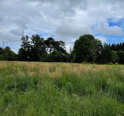 Terrain Saint Vincent Sur Oust 800 m2 Terrain Saint Vincent Sur Oust 800 m2