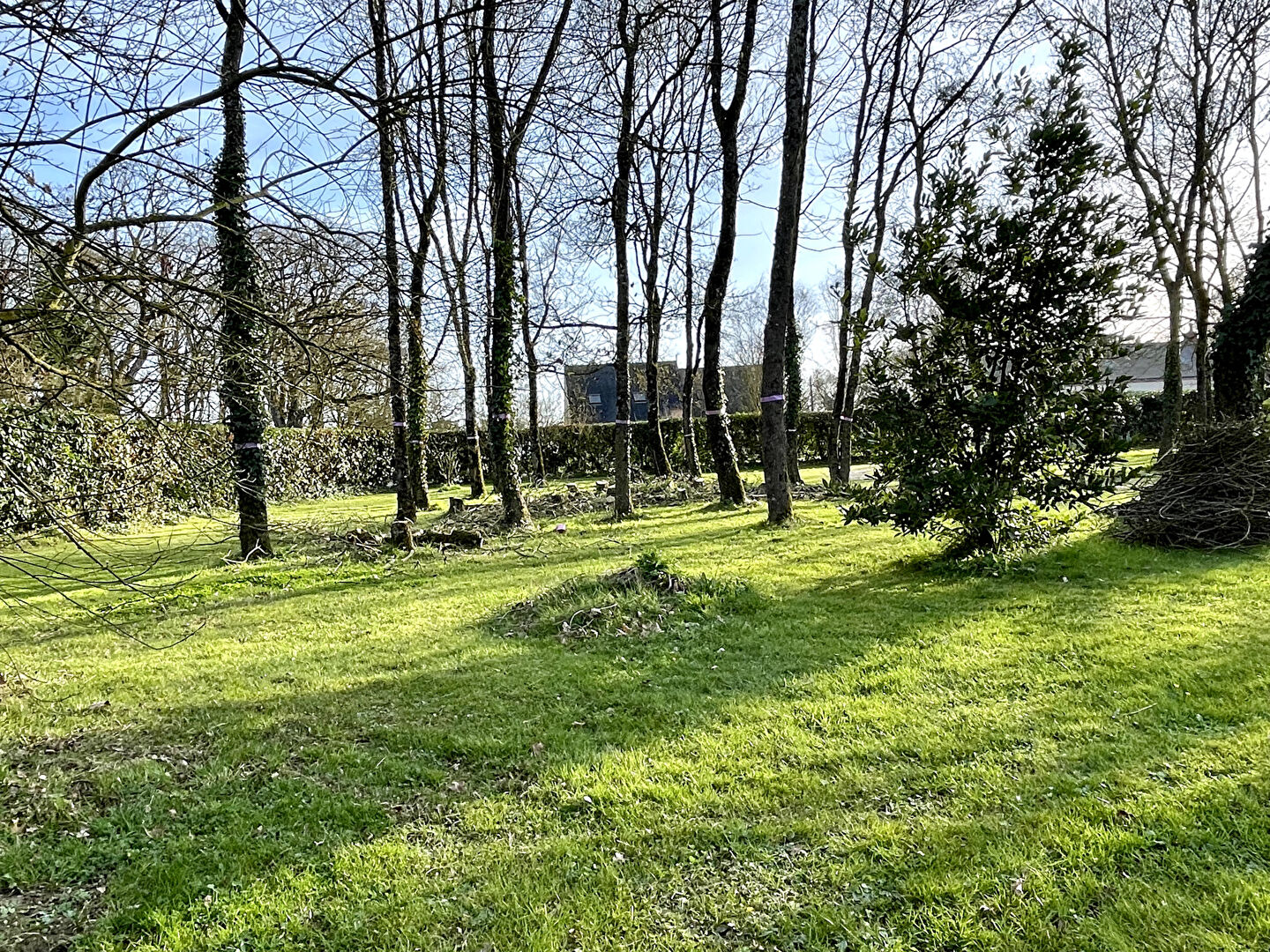 TERRAIN MOUZEIL 985 m² TERRAIN MOUZEIL 985 m²