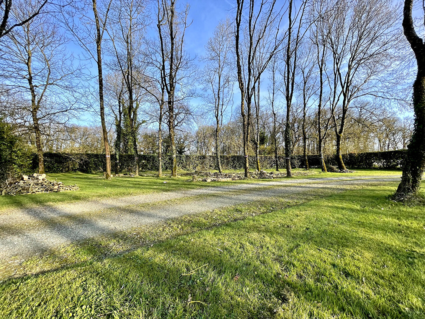 TERRAIN MOUZEIL 985 m² TERRAIN MOUZEIL 985 m²