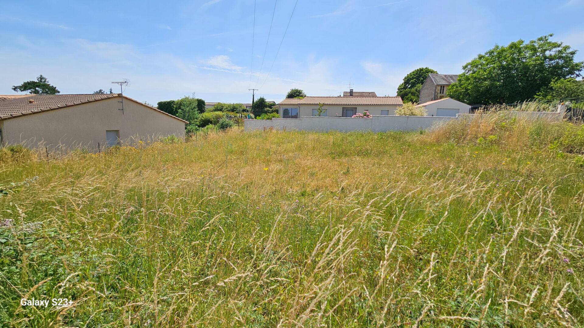 Photo Terrain Champdeniers Saint Denis 266 m2 image 3/6