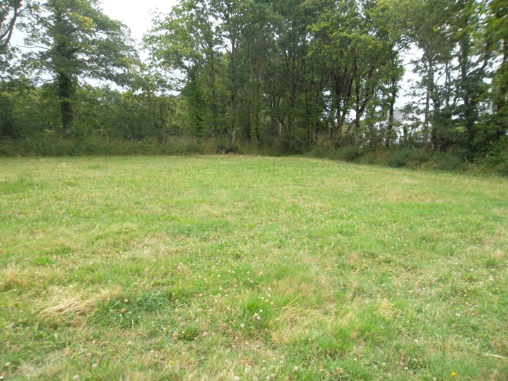 photo de la vente