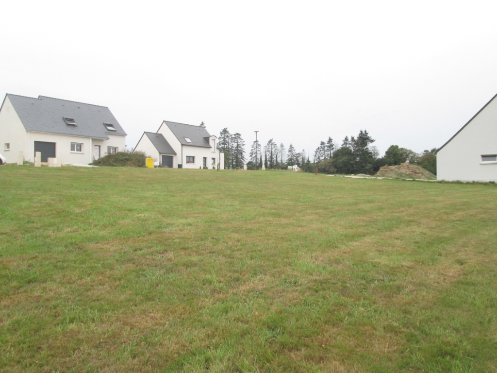 photo de la vente