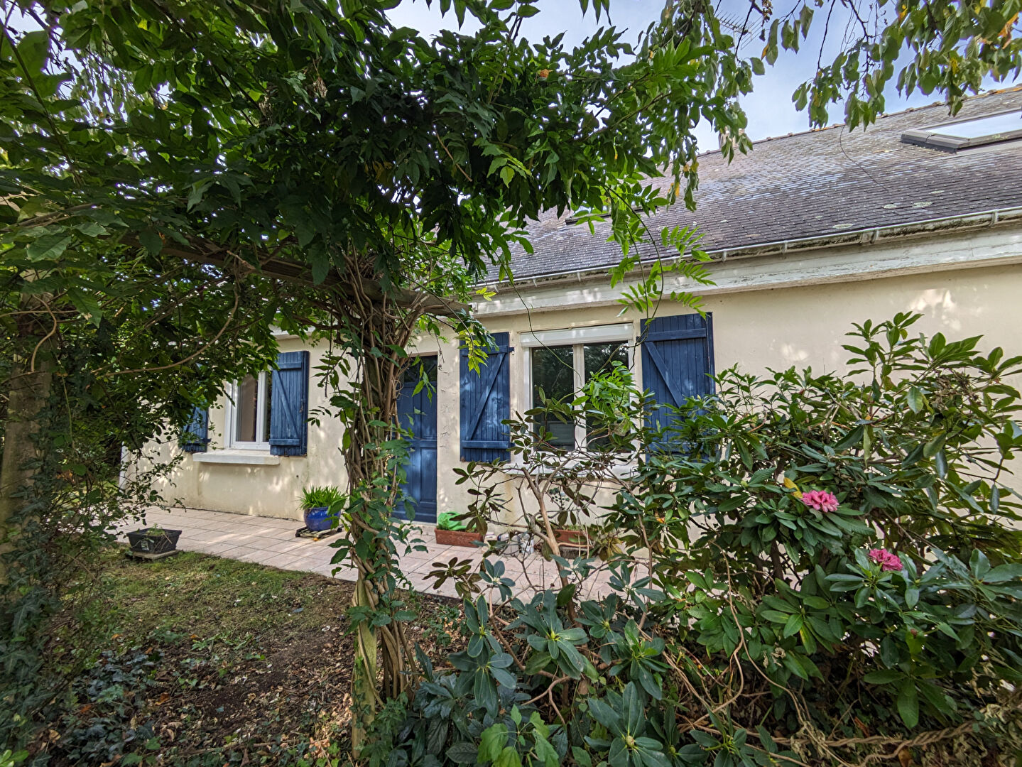 photo de la vente