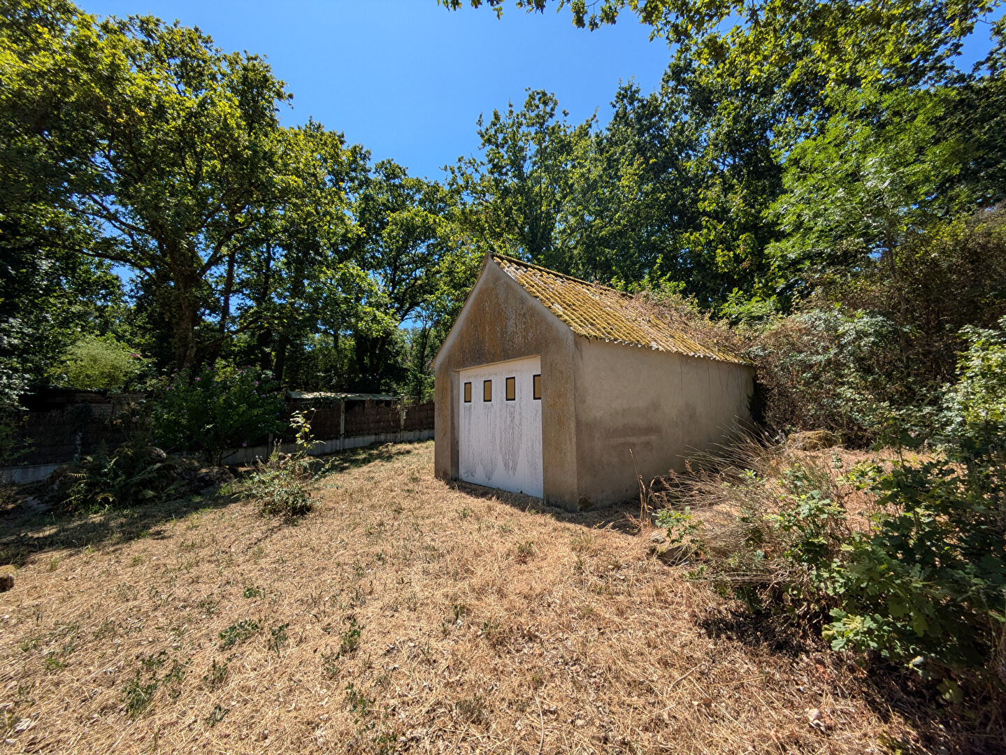photo de la vente