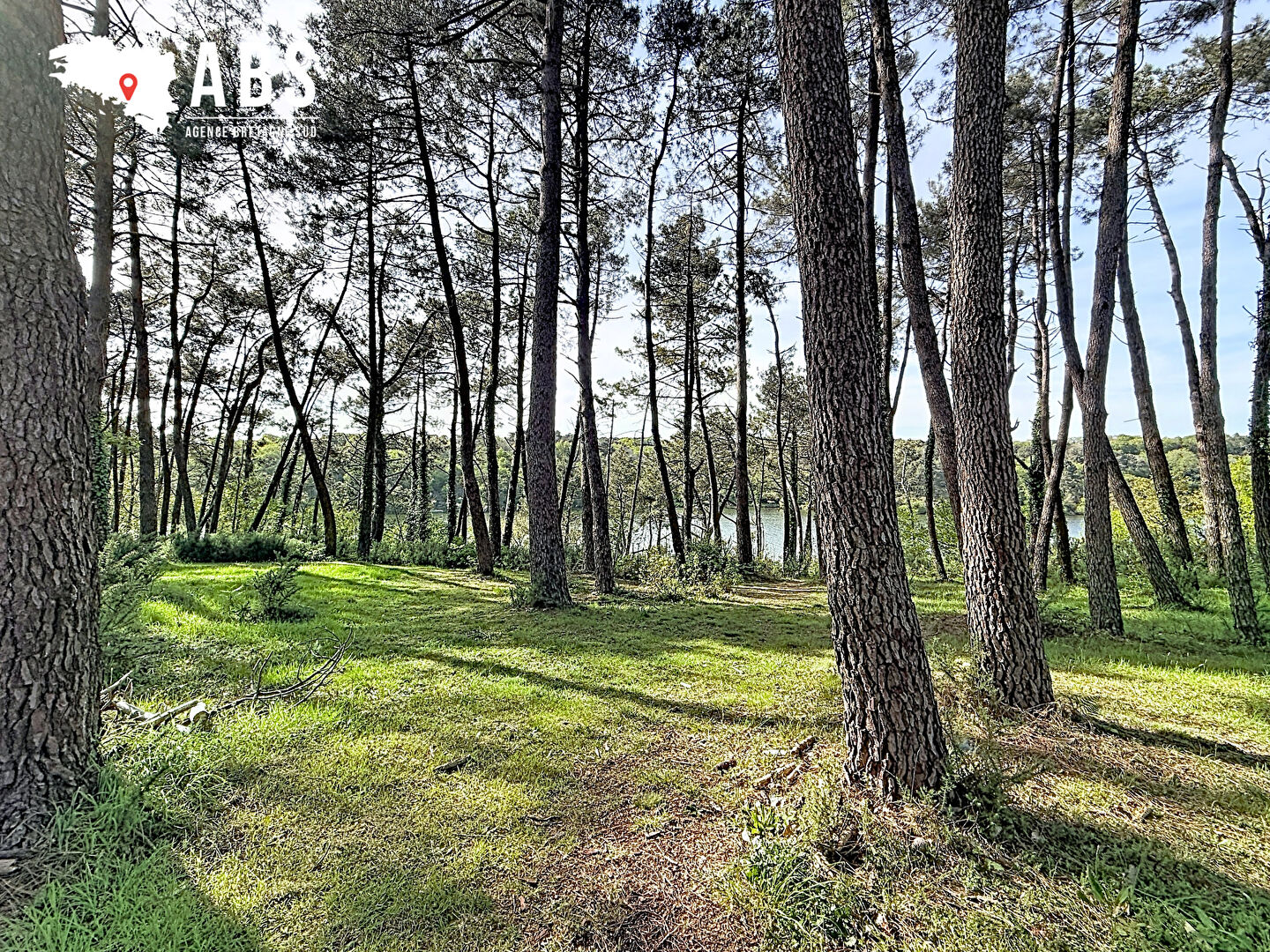 
Maison à FÉREL vue Vilaine et piscine chauffée
