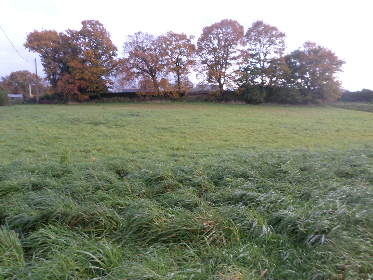 Photo Terrain Spezet 3134 m2 image 2/3