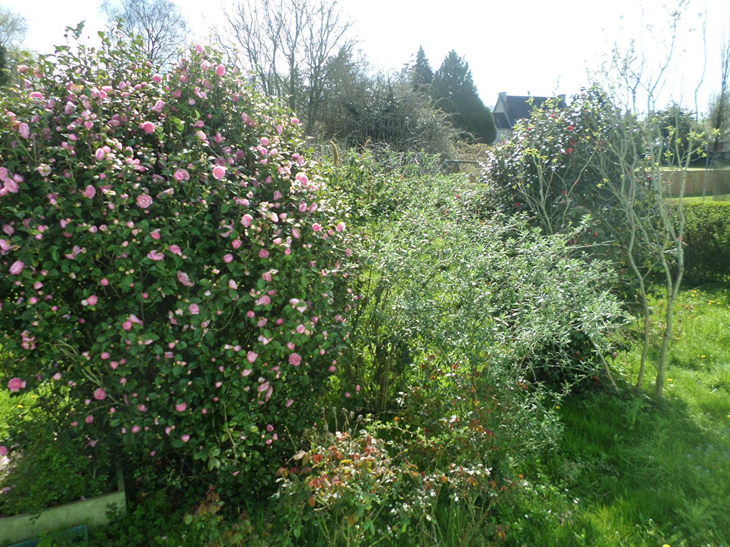 Photo Maison Spezet 3 pièce(s) 90 m2 image 6/6