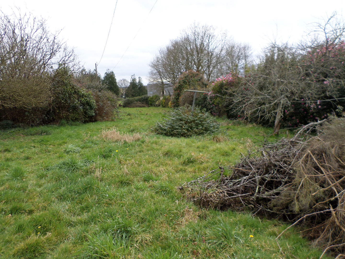 Photo Maison Spezet 4 pièce(s) 124 m2 image 3/6