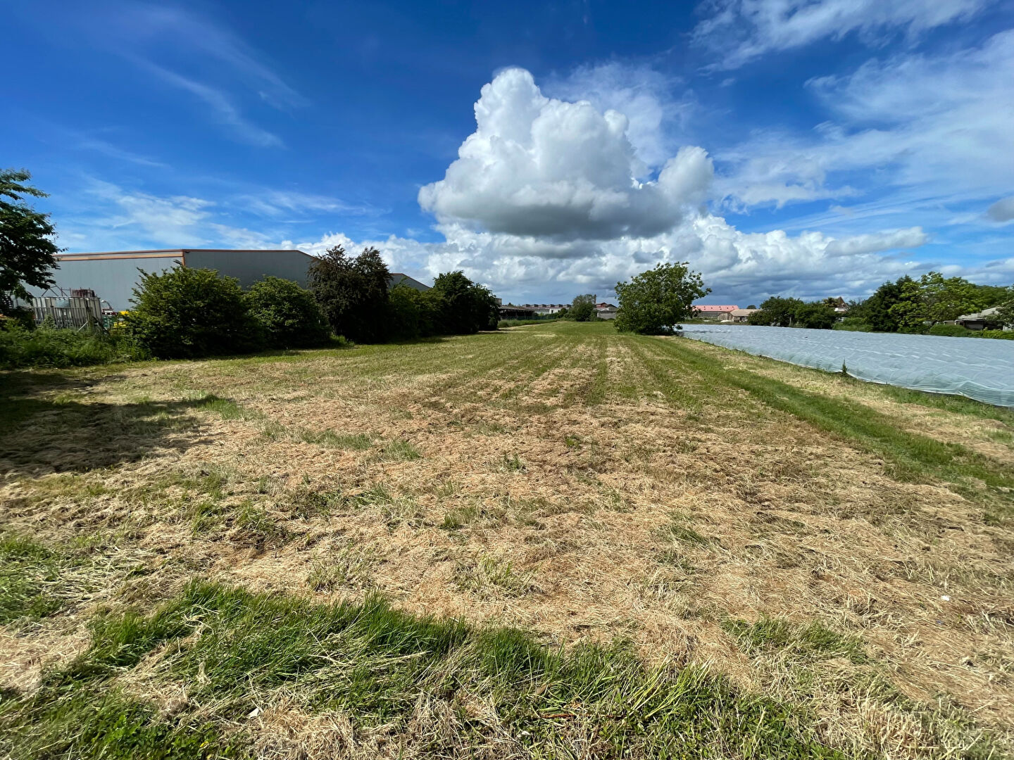 Terrain Sainte-Livrade-sur-Lot  de 5 167 m² en zone UX