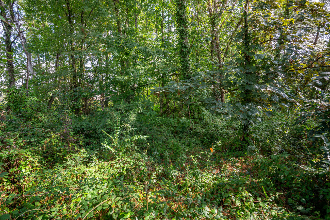 Photo du bien