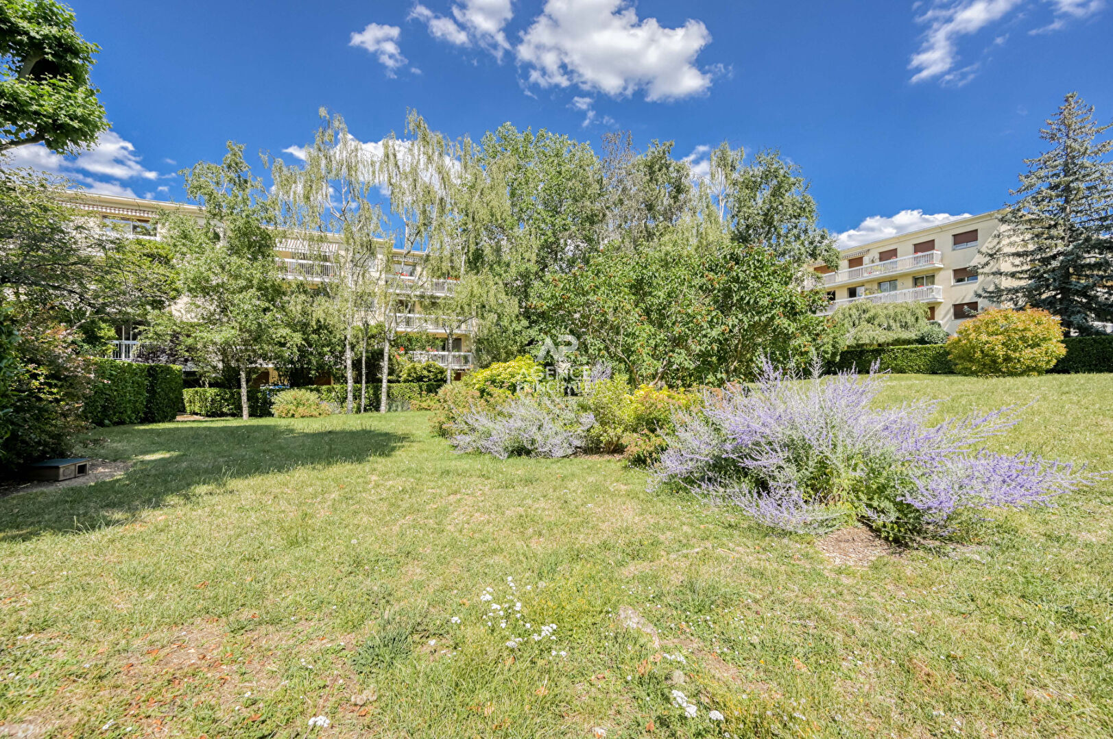 Sèvres Rive Gauche - Studio