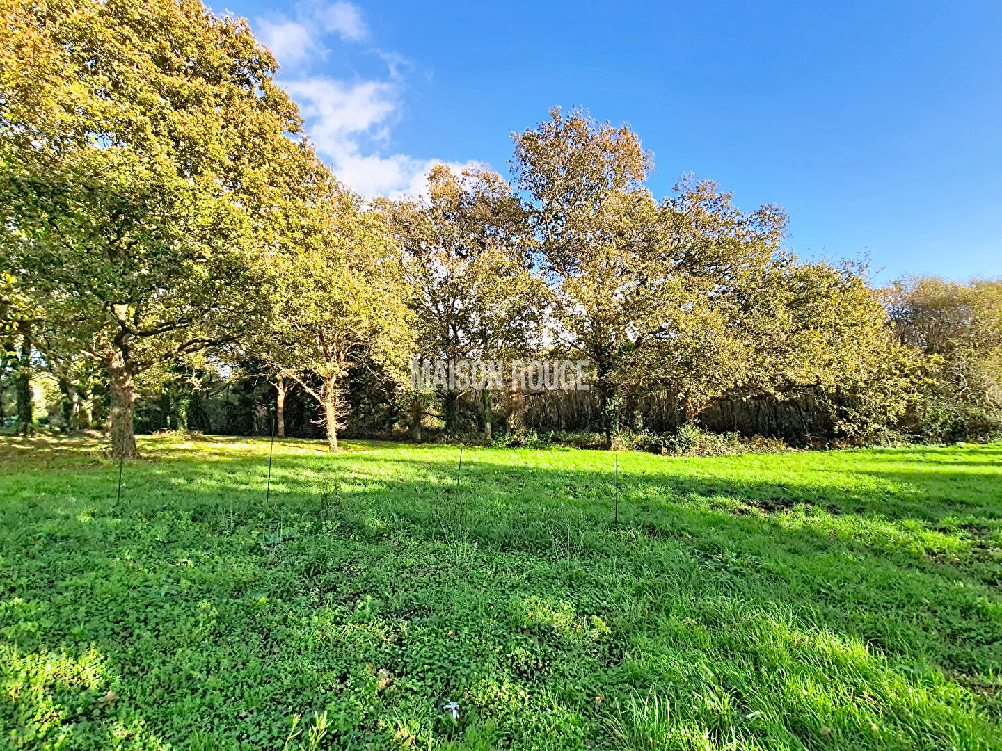 Photo Maison récente - Vie de plain pied - Centre bourg BADEN image 2/6