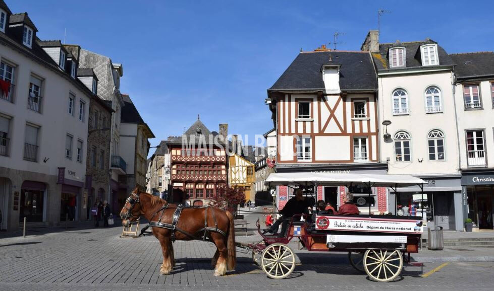 Agence immobilière de Agence de la Maison Rouge - Lamballe