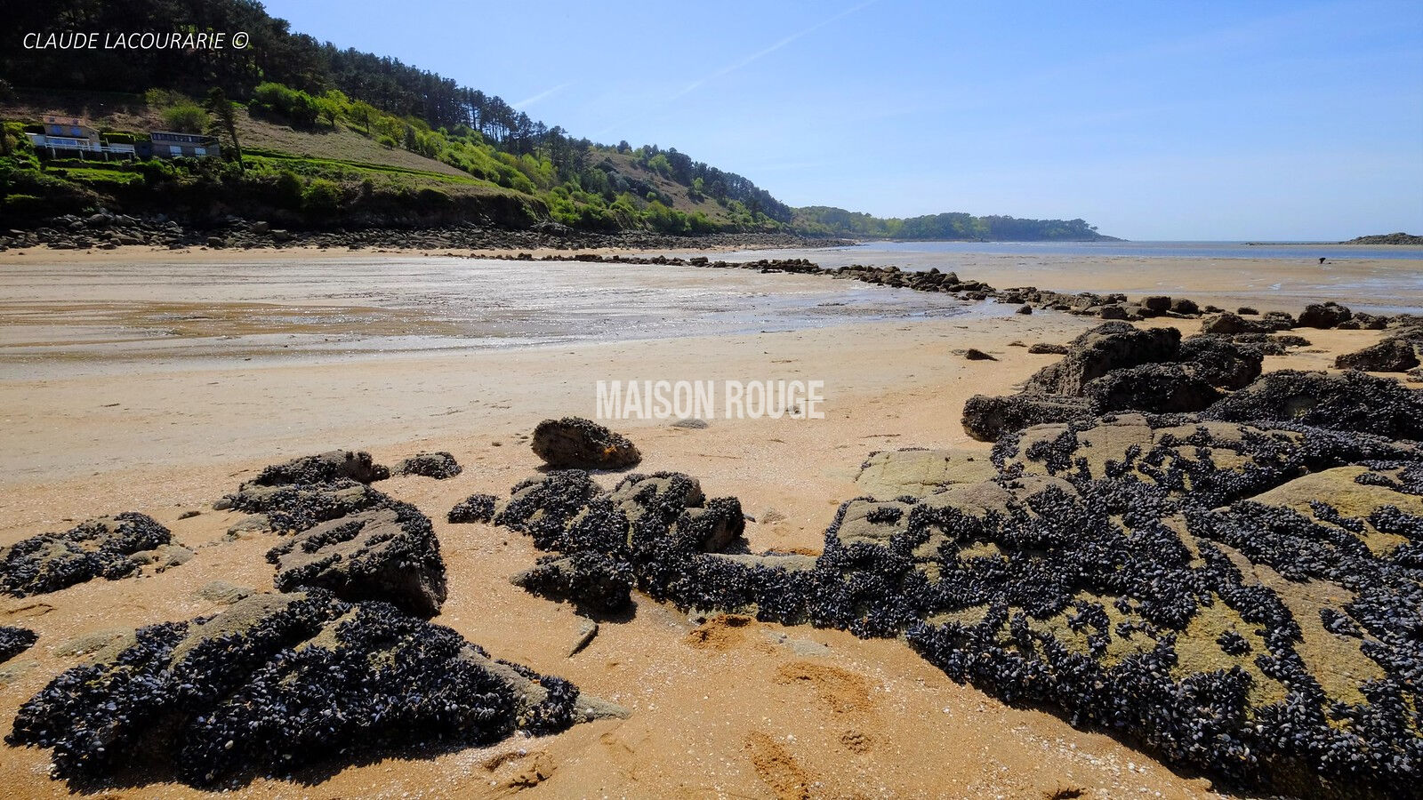 Agence immobilière de Maison Rouge - Agence Maison Rouge - Lannion