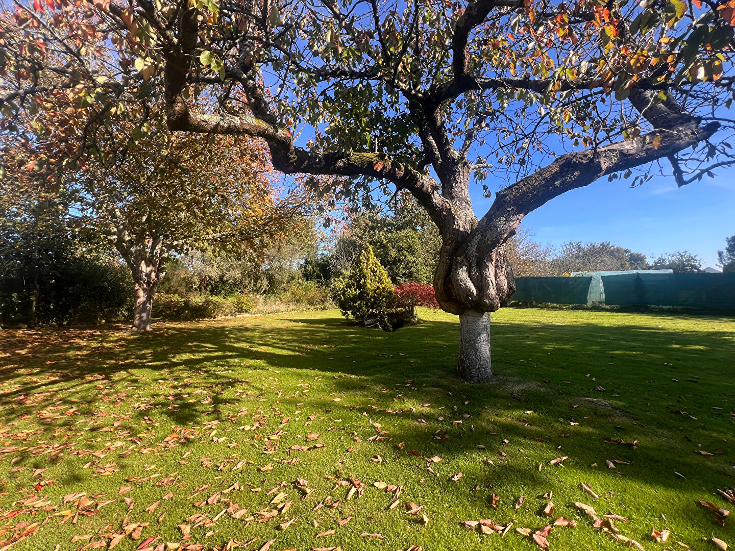 Photo Maison à Cancale - 5 chambres, sous-sol complet, grand jardin image 2/6