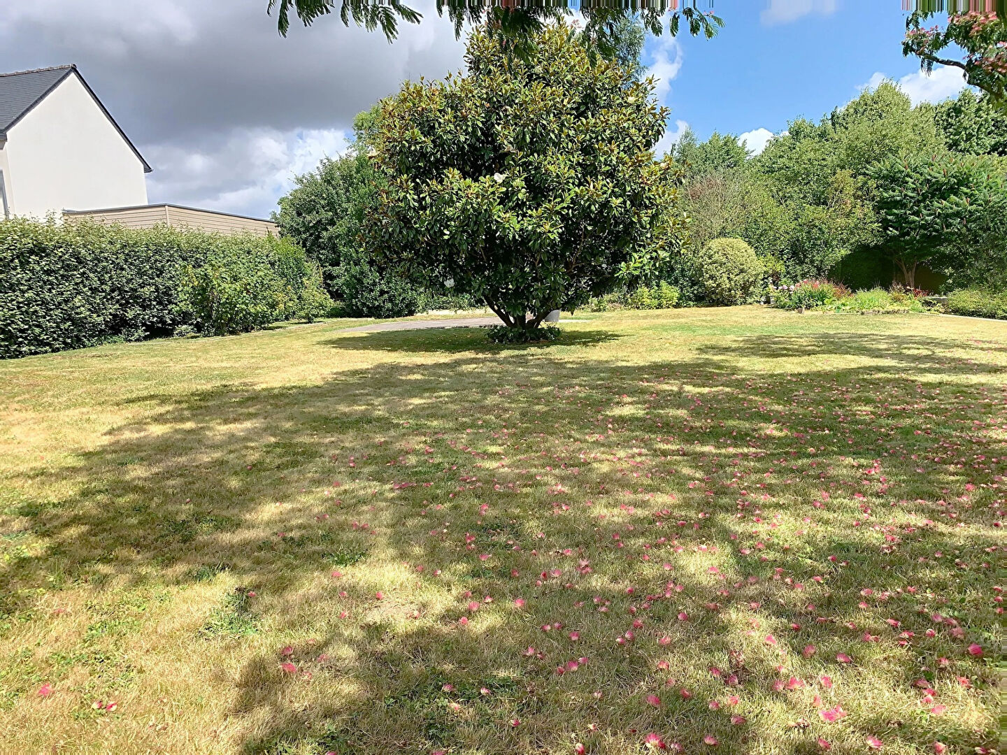 Agence immobilière de Agence Maison Rouge - Tinténiac