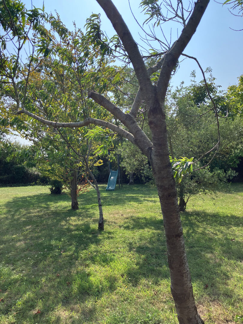 SAINT-ALBAN terrain constructible + maison de plain-pied