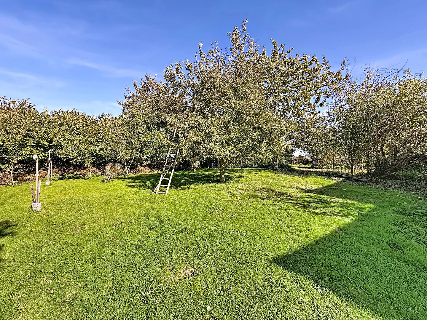 Photo Longère en pierre à rénover Proche Matignon et Saint-Cast-Le-Guildo image 2/6