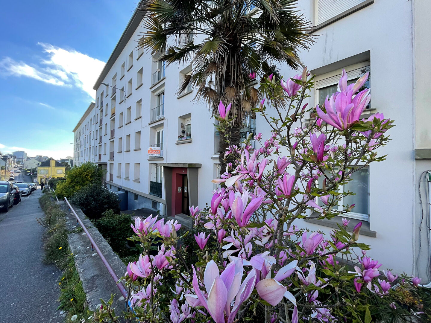 Agence immobilière de luxior immobilier
