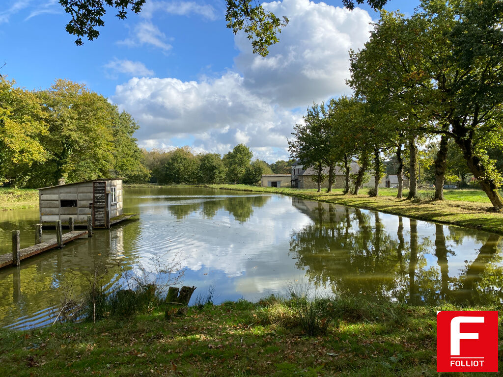 A vendre un Domaine avec Maison , Etang , Fours a Pain , Dependances