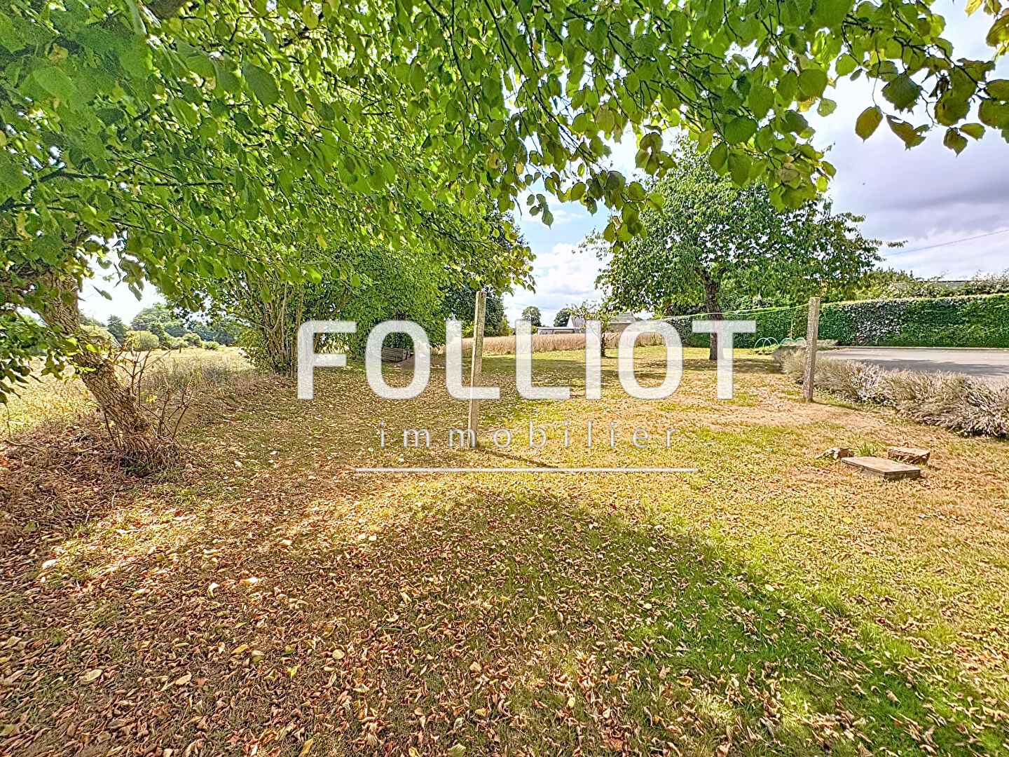 Photo A VENDRE Longère ROMAGNE image 2/6