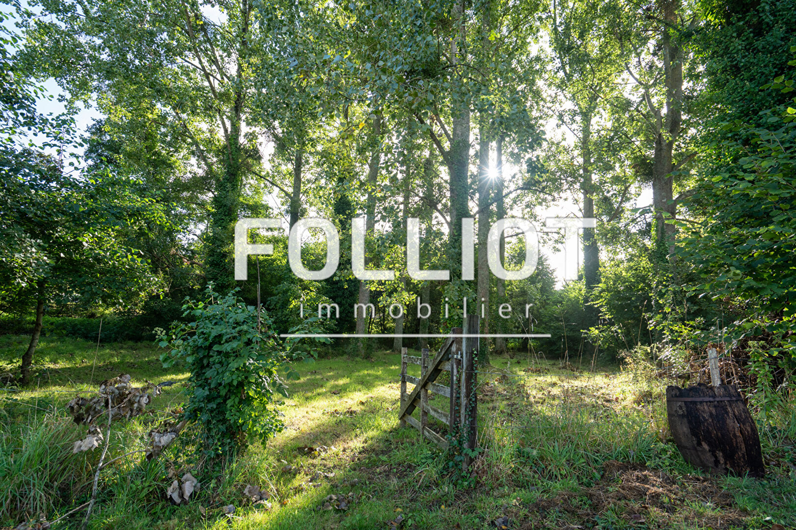 Photo Maison familiale - Saint Sauveur Le Vicomte image 3/6