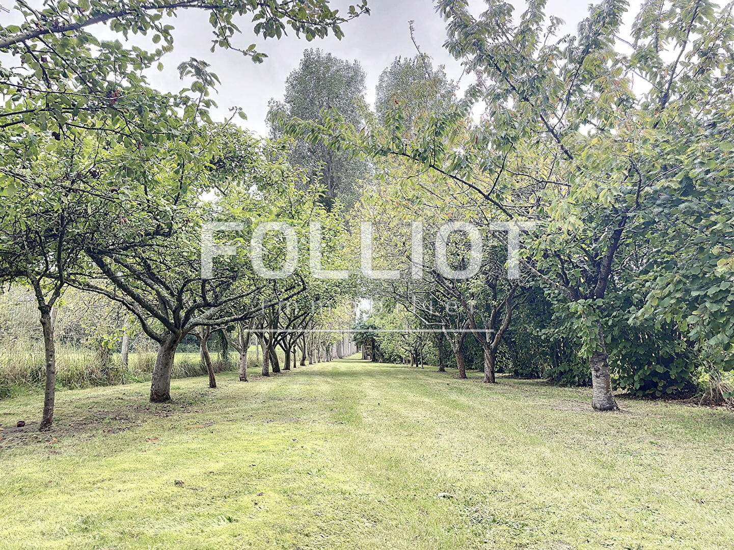 Photo A VENDRE 50590 MONTMARTIN SUR MER  TERRAIN NON CONSTRUCTIBLE A 1 KILOMETRE DE LA MER image 3/6