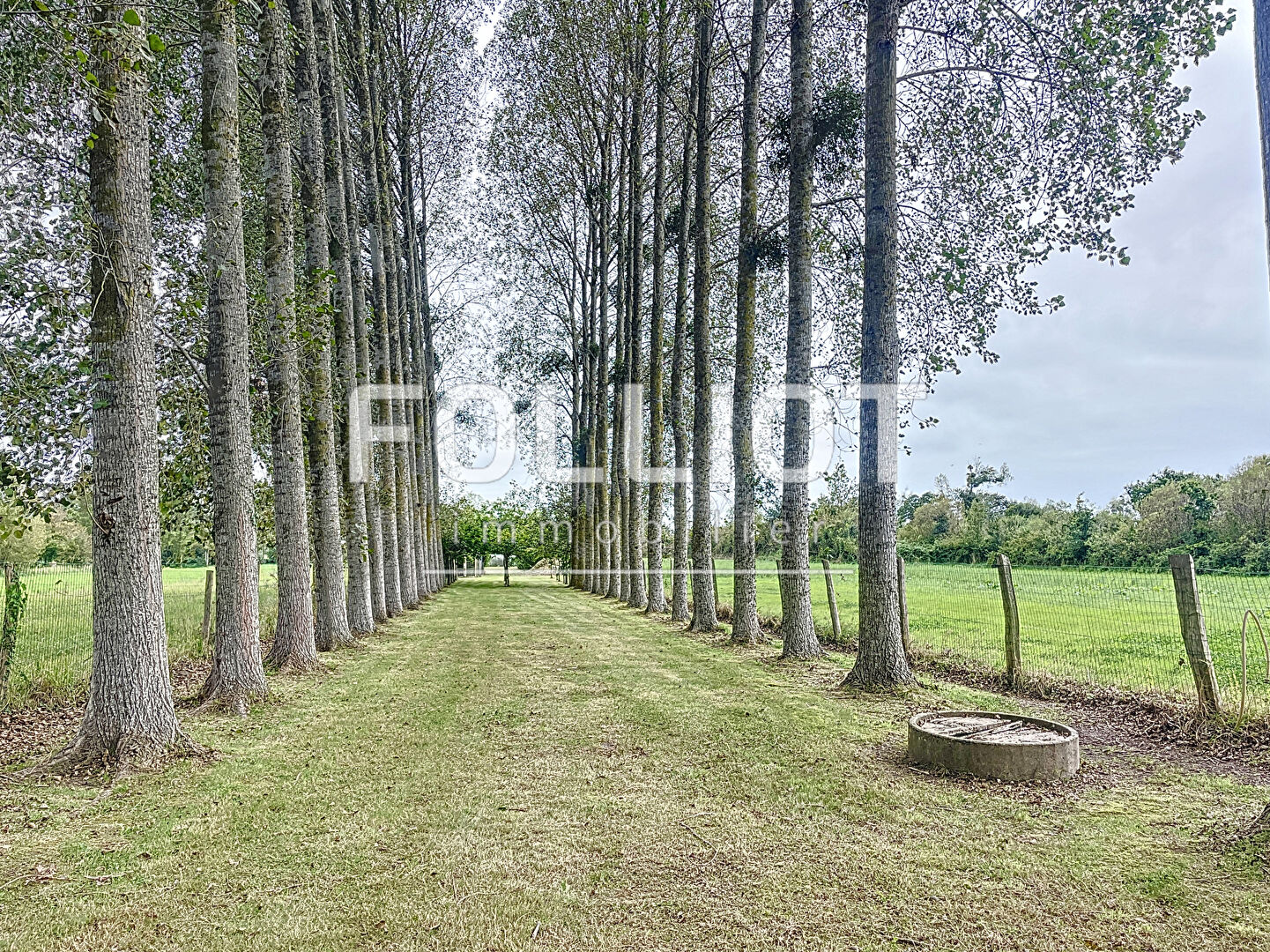 Photo A VENDRE 50590 MONTMARTIN SUR MER  TERRAIN NON CONSTRUCTIBLE A 1 KILOMETRE DE LA MER image 4/6