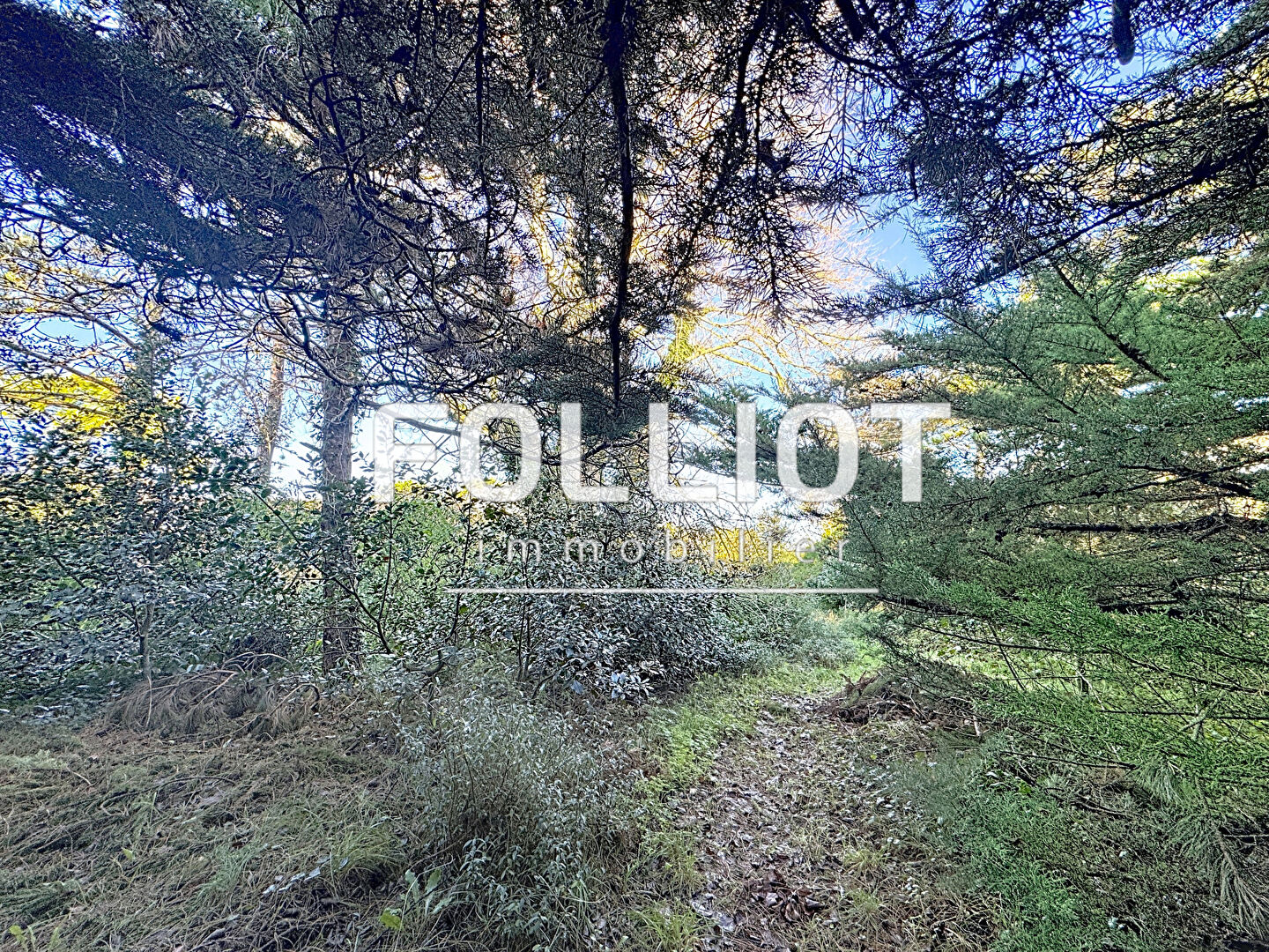 Achat /Vente Terrain Agon Coutainville 493 m2