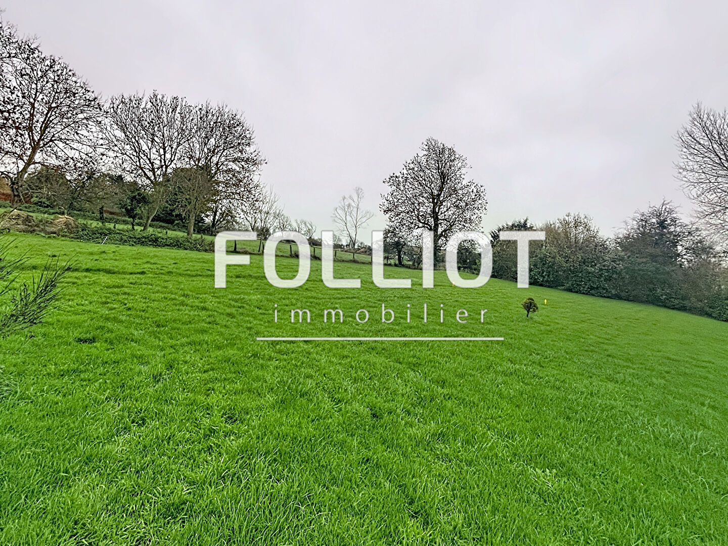 Agence immobilière de 
 CABINET FOLLIOT - Cabinet FOLLIOT - BAYEUX 
