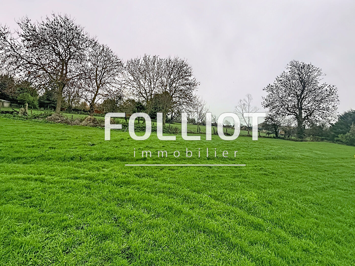 Agence immobilière de 
 CABINET FOLLIOT - Cabinet FOLLIOT - BAYEUX 
