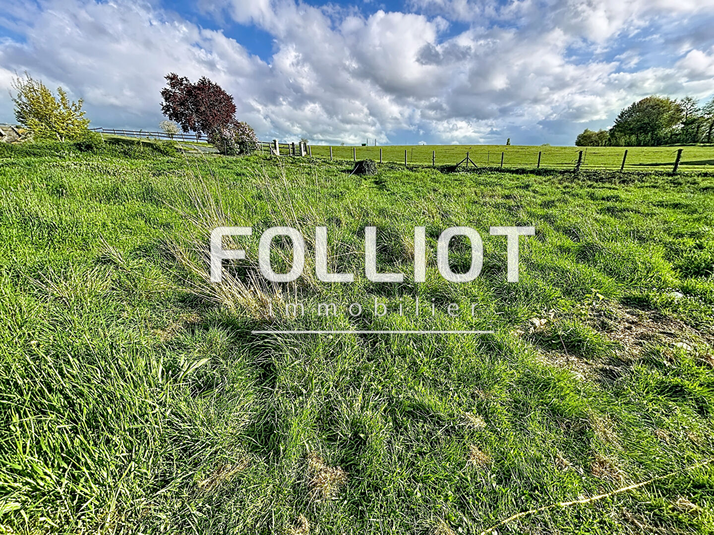 Agence immobilière de 
 CABINET FOLLIOT - Cabinet FOLLIOT - Thury-Harcourt 
