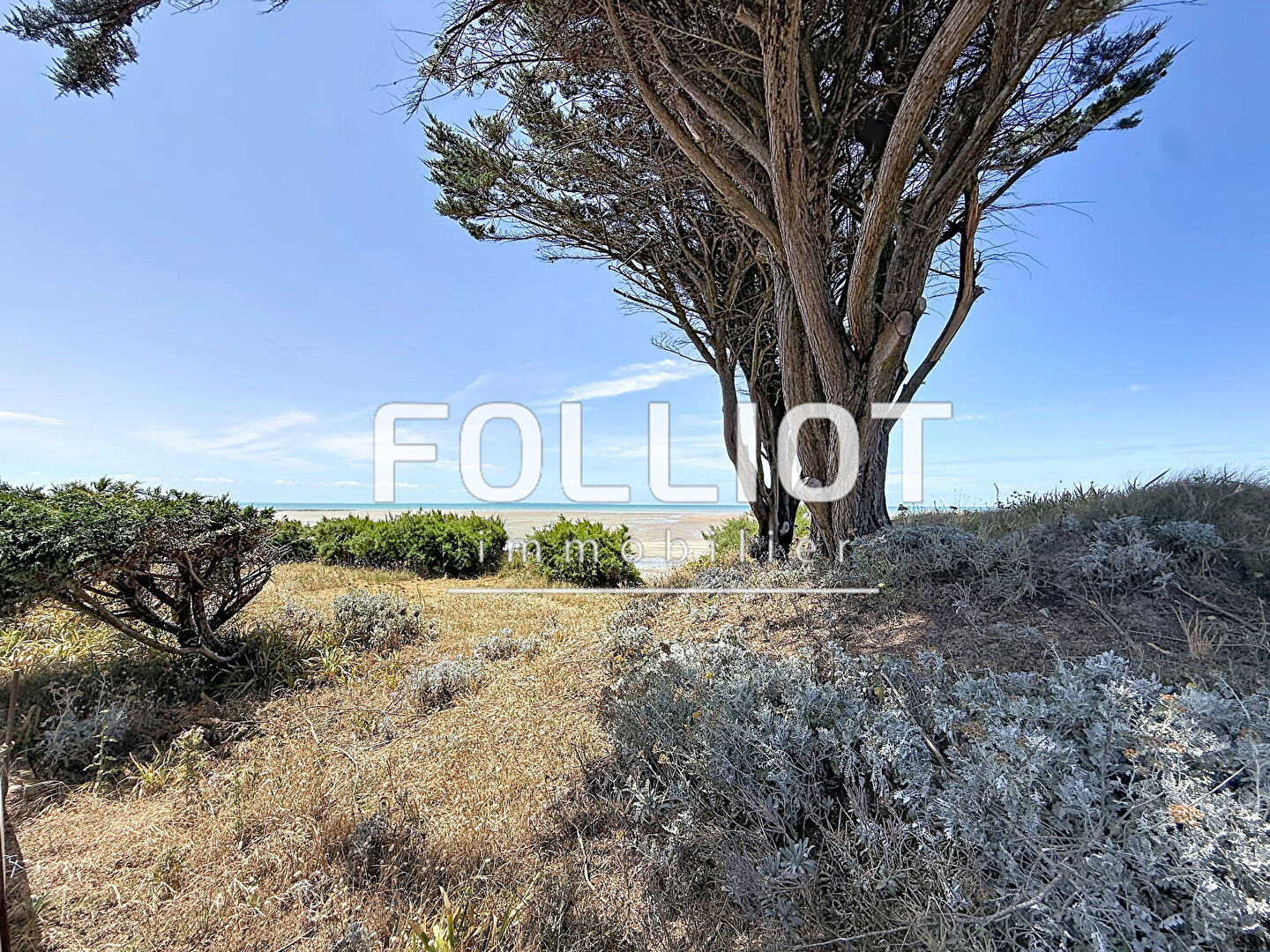 Agence immobilière de CABINET FOLLIOT - ST PAIR SUR MER
