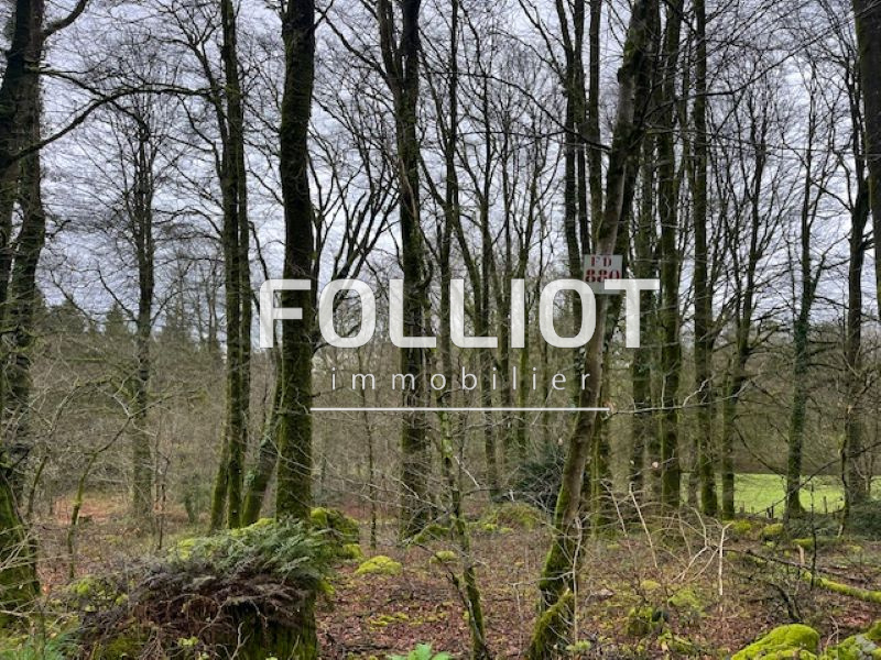 Agence immobilière de CABINET FOLLIOT - Cabinet FOLLIOT - VIRE