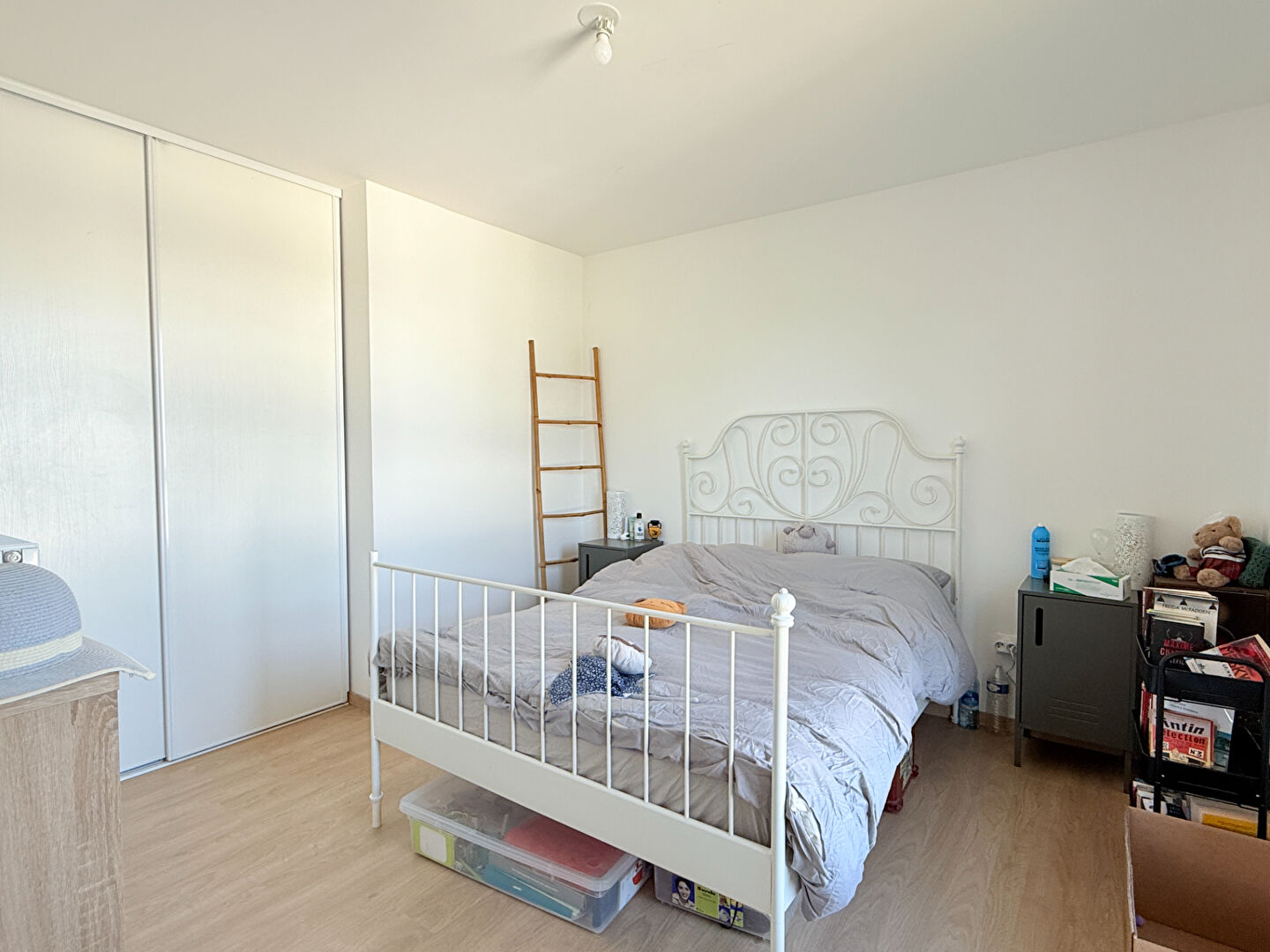 Photo Appartement DERNIER ETAGE avec TERRASSE à SAINT FUSCIEN image 3/6