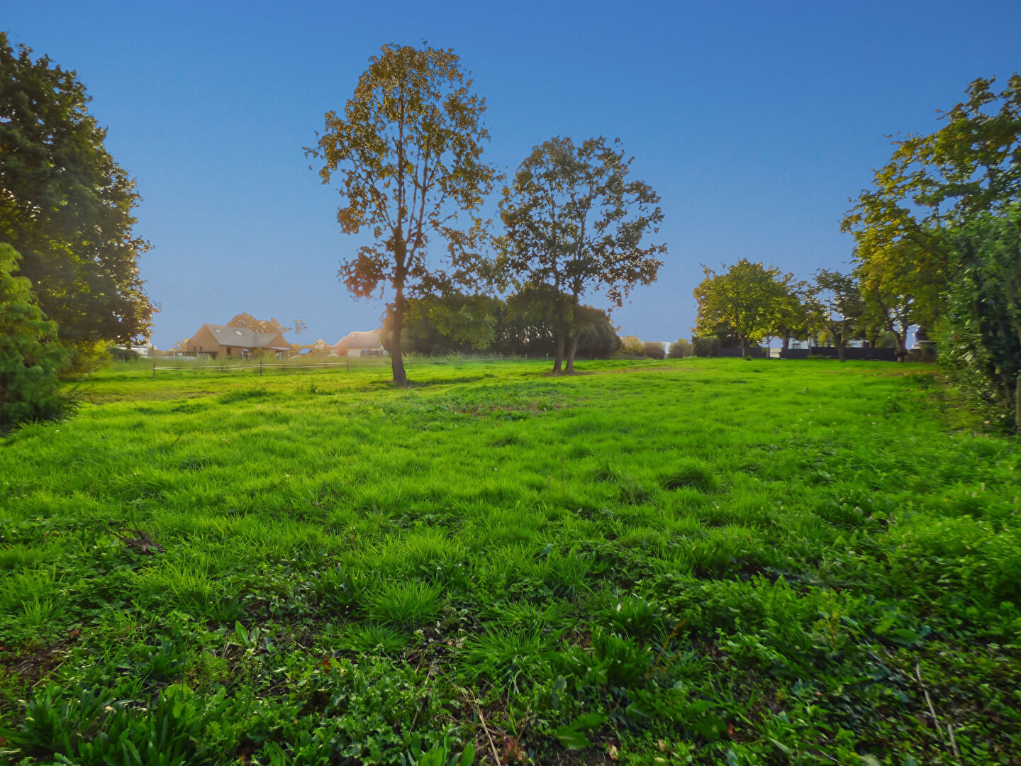 Photo Terrain à vendre Dol De Bretagne 5591 m2 image 2/3