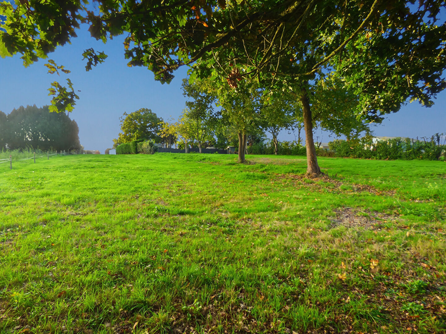Photo Terrain à vendre Dol De Bretagne 5591 m2 image 3/3