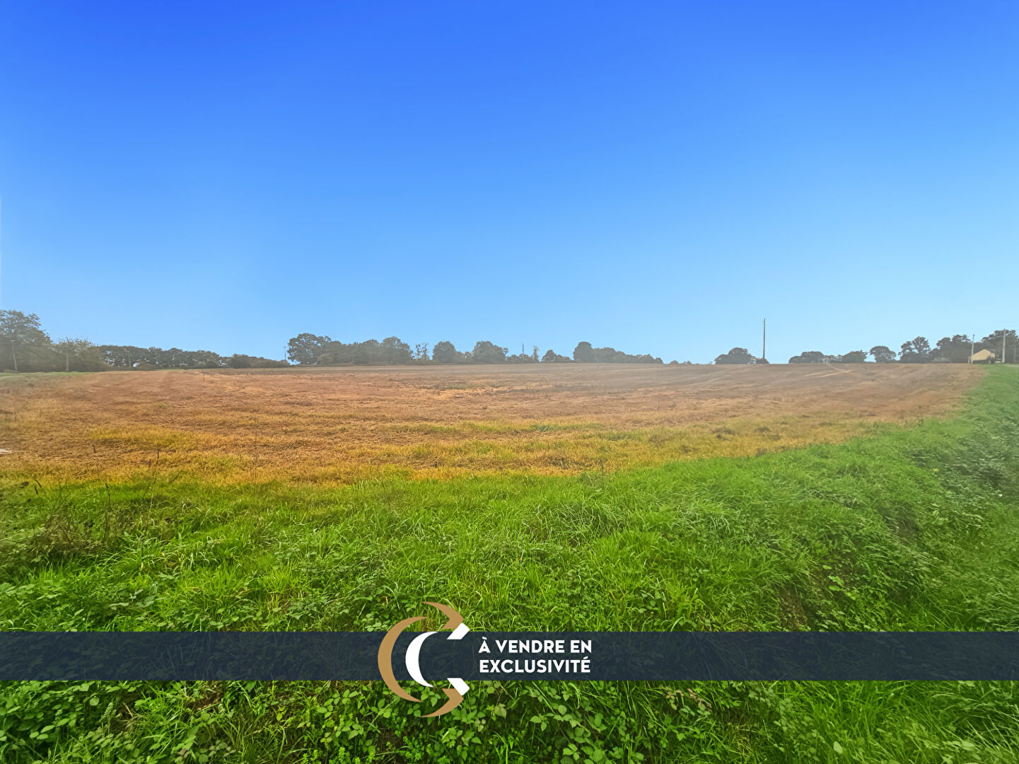 Agence immobilière de Chateaubriand Immobilier Sens de Bretagne