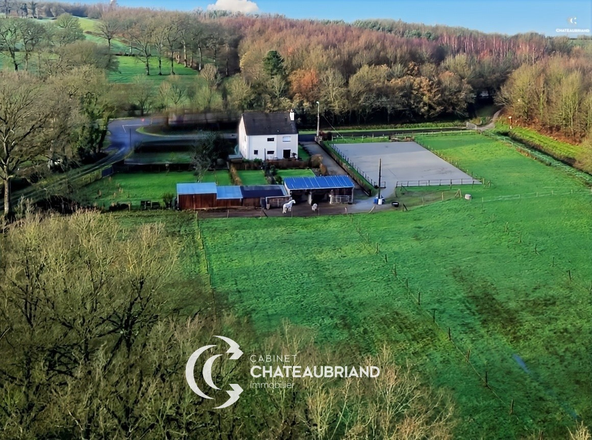 Agence immobilière de Chateaubriand Immobilier Sens de Bretagne