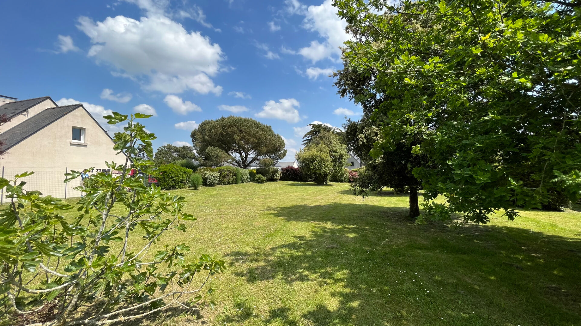 Photo VENTE TERRAIN PENERF - DAMGAN image 4/5