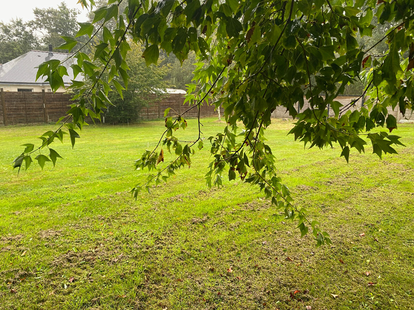 Photo Terrain Constructible à LA TRINITE-SURZUR de 686 m2 image 5/5