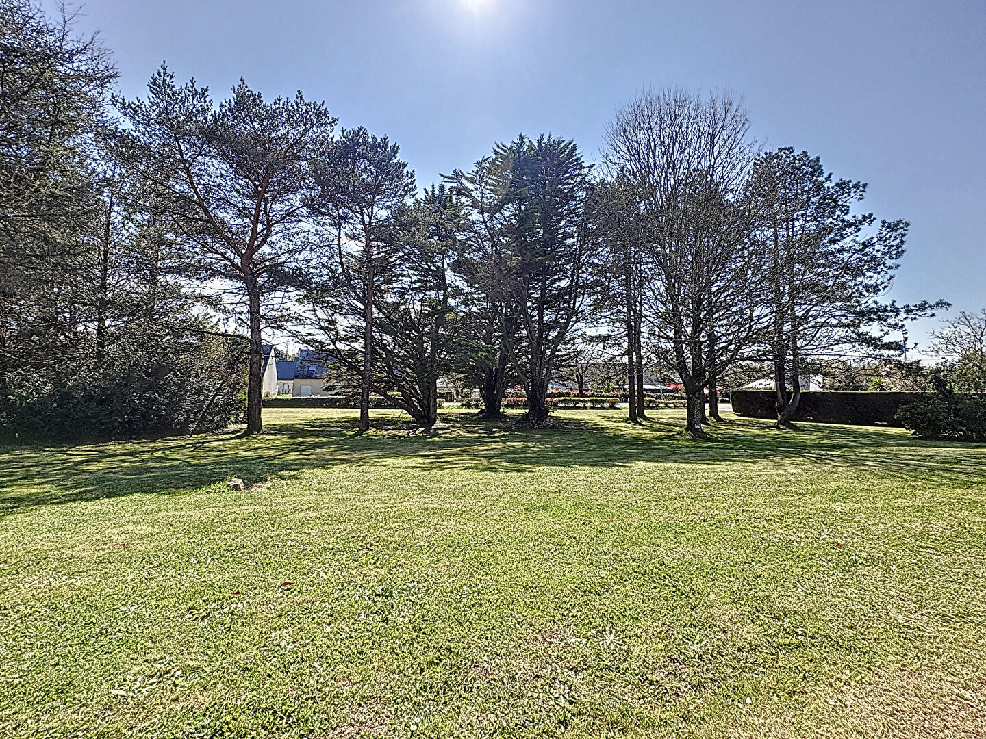 Photo MUZILLAC - propriété de 250 m² habitables image 3/6