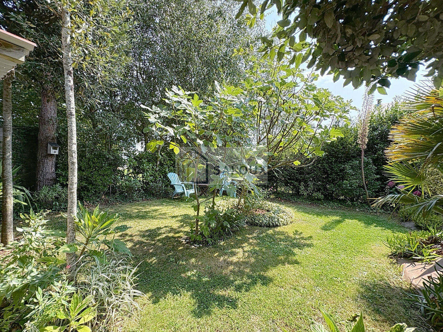 Photo Damgan - Kervoyal - Maison T3 de plain pied image 4/6